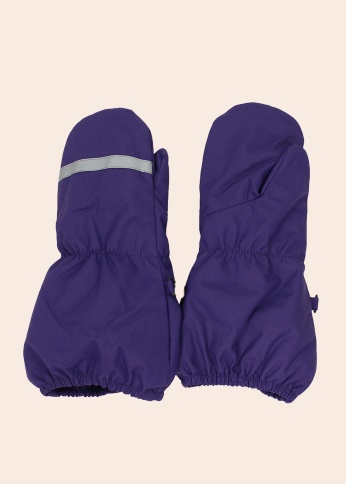 Зимние перчатки Ron Huppa